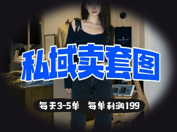 私域卖套图每天3-5单,每单利润99-老段项目分享