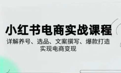 小红书从0-1实操课(2023-2025),详解养号、选品、文案撰写、爆款打造实现电商变现-老段项目分享