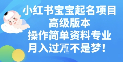 小红书宝宝起名项目高级版本，操作简单，资料专业，月入过W-老段项目分享