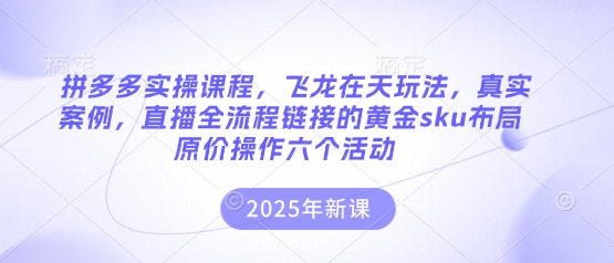 拼多多实操课程,飞龙在天玩法,真实案例,直播全流程链接的黄金sku布局原价操作六个活动-老段项目分享