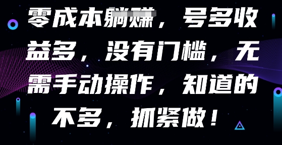 零成本全自动,号多收益多,没有门槛,无需手动-老段项目分享