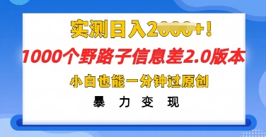 2025抖音1000个野路子信息差最新玩法,一分钟过原创,暴力变现月入几k-老段项目分享