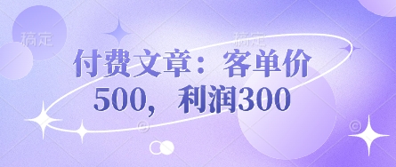 付费文章:客单价500,利润300-老段项目分享