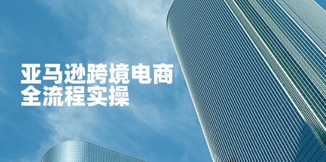 (14252期)亚马逊跨境电商全流程实操,教你从零开始,掌握店铺运营与广告技巧-老段项目分享