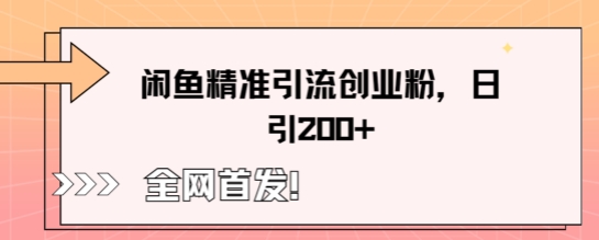 闲鱼精准引流创业粉,轻松日引200+-老段项目分享