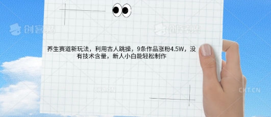 AI养生赛道新玩法,10条作品涨粉5.2W,操作简单,新人小白能轻松制作-老段项目分享