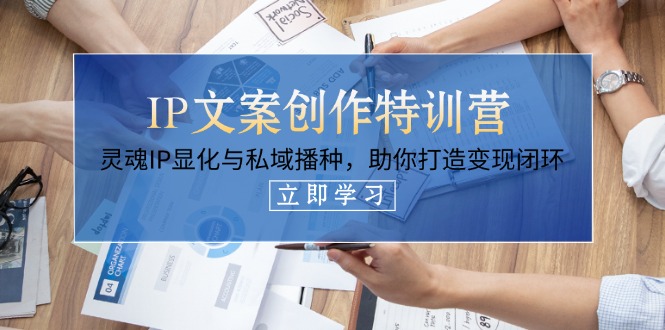 (14330期)IP文案创作特训营,灵魂IP显化与私域播种,助你打造变现闭环(14节课)-老段项目分享