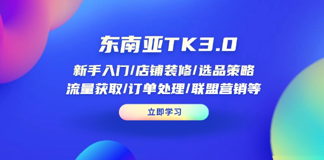 (14208期)东南亚TK3.0:新手入门/店铺装修/选品策略/流量获取/订单处理/联盟营销等-老段项目分享