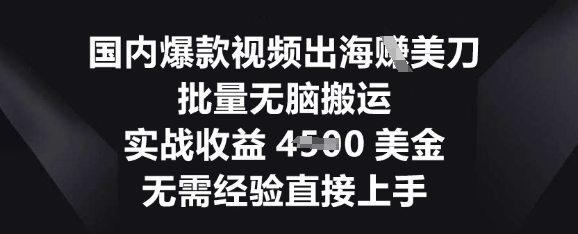 国内爆款视频出海挣美刀,批量无脑搬运,实战收益4.5k,无需经验直接上手-老段项目分享