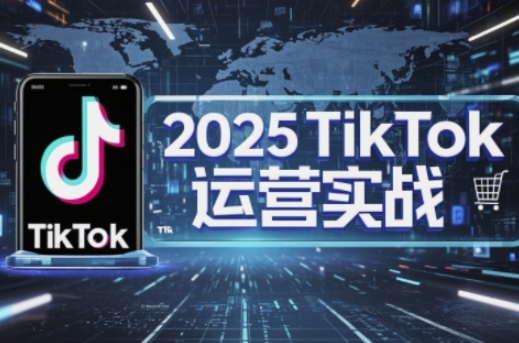 2025TikTok电商运营,掌握TikTok店铺运营核心技巧,实现低成本高转化-老段项目分享