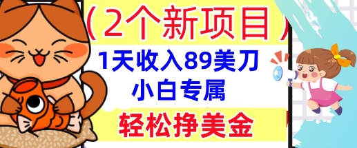 2个新项目,轻松挣美金, 1天收入89美刀,小白专属,干货分享-老段项目分享
