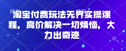 淘宝付费玩法无界实操课程,高价解决一切烦恼,大力出奇迹-老段项目分享
