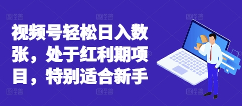 视频号轻松日入数张,处于红利期项目,特别适合新手-老段项目分享
