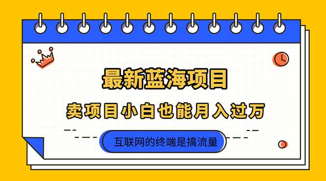 (14289期)2025年最新蓝海项目,卖项目小白也能月入过万-老段项目分享
