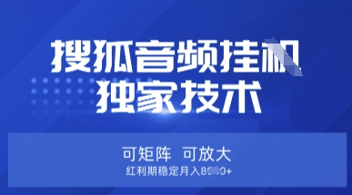 【搜狐音频挂G】独家技术，可矩阵可放大，红利期稳定月入8k【揭秘】-老段项目分享