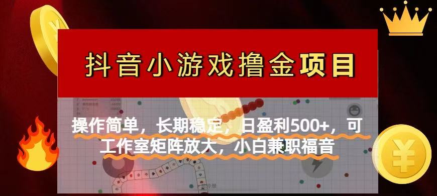 (14290期)【抖音小游戏发行人计划项目】操作简单,长期稳定,日盈利500+,可工作...-老段项目分享