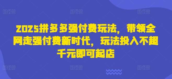 2025拼多多强付费玩法，带领全网走强付费新时代，玩法投入不超千元即可起店-老段项目分享