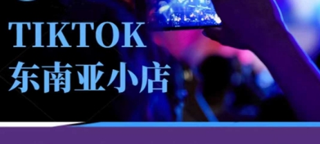 Tiktok东南亚跨境小店运营班,一门专业的TK小店运营培训课-老段项目分享