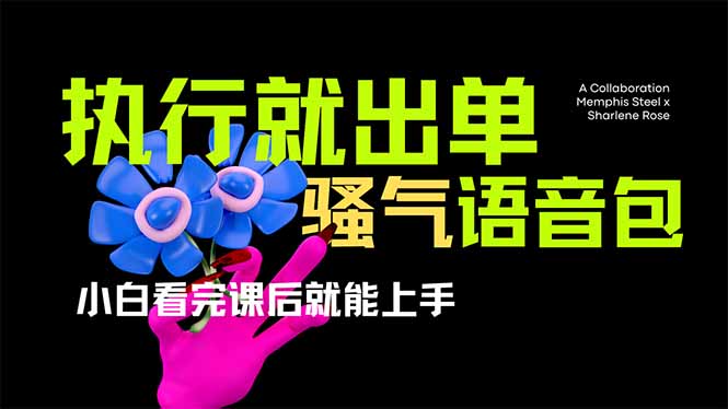 (14170期)爆火全网的开车导航骚气语音包,只要执行就出单,小白看完课程就能实操...-老段项目分享