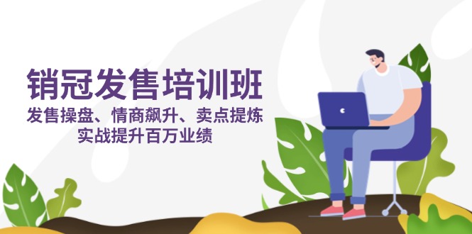 (14203期)销冠 发售培训班:发售 操盘+情商 飙升+卖点 提炼,实战提升百万业绩-老段项目分享