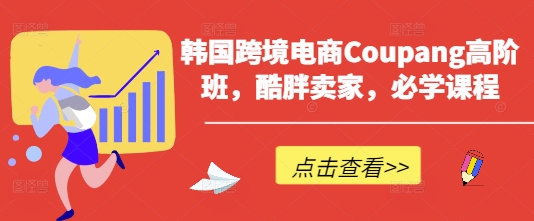 韩国跨境电商Coupang高阶班，酷胖卖家，必学课程-老段项目分享