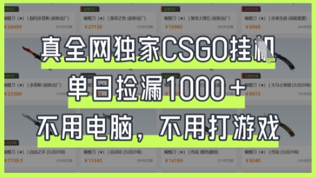 真全网独家CSGO挂G,单日捡漏1k+【揭秘】-老段项目分享