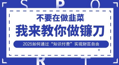 韭菜生涯终结者，我来教你做镰刀，2025如何通过“知识付费”实现财F自由【揭秘】-老段项目分享