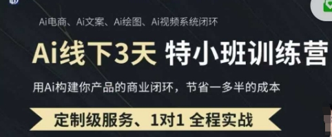 AI实操培训第20-21期线下,0基础保姆级教程,3月最新整理,企业获客、降本增效、打造超级个体-老段项目分享