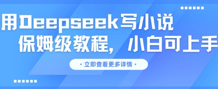 用Deepseek写小说,保姆级教程,小白可实操-老段项目分享