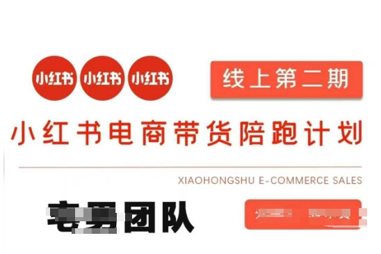 小红书电商带货课2期，月利润20个的小红书电商的有货源，无货源，虚拟产品，付费投流等整套玩法-老段项目分享