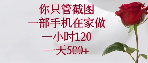 你只管截图,一部手机在家操作,一小时120.一天5张【揭秘】-老段项目分享