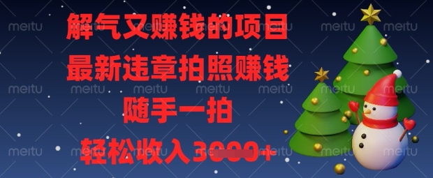 解气又挣钱的项目，最新违章拍照挣钱，随手一拍，轻松收入数张【揭秘】-老段项目分享